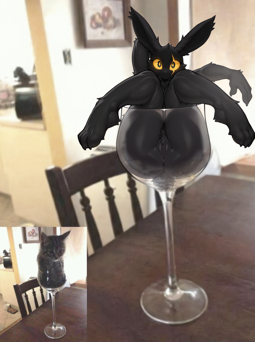 anthro container cup dark_body dark_fur drinking_glass fur genitals glass glass_container glass_cup kilvi legs_up looking_at_viewer male nude nude_female pussy scar sitting solo wine_glass yellow_sclera ahogagu real_world lagomorph leporid mammal rabbit hi_res meme mixed_media