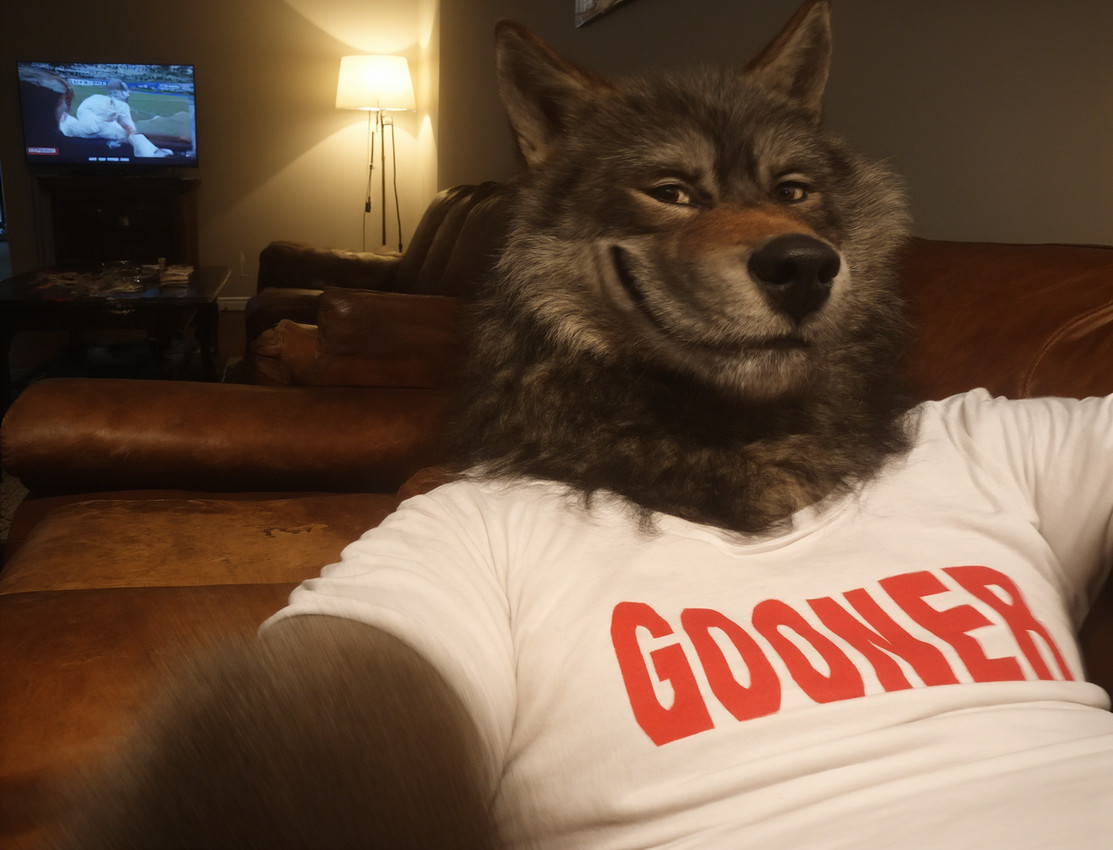 black_nose brown_body brown_fur clothed clothing electronics fur furniture grey_body grey_fur humor lamp looking_at_viewer male photo_background realistic realistic_fur realistic_lighting shirt smile sofa solo t-shirt television text text_on_clothing text_on_topwear topwear white_clothing palekemono_(director) canid canine canis mammal wolf edit english_text photo_manipulation photomorph