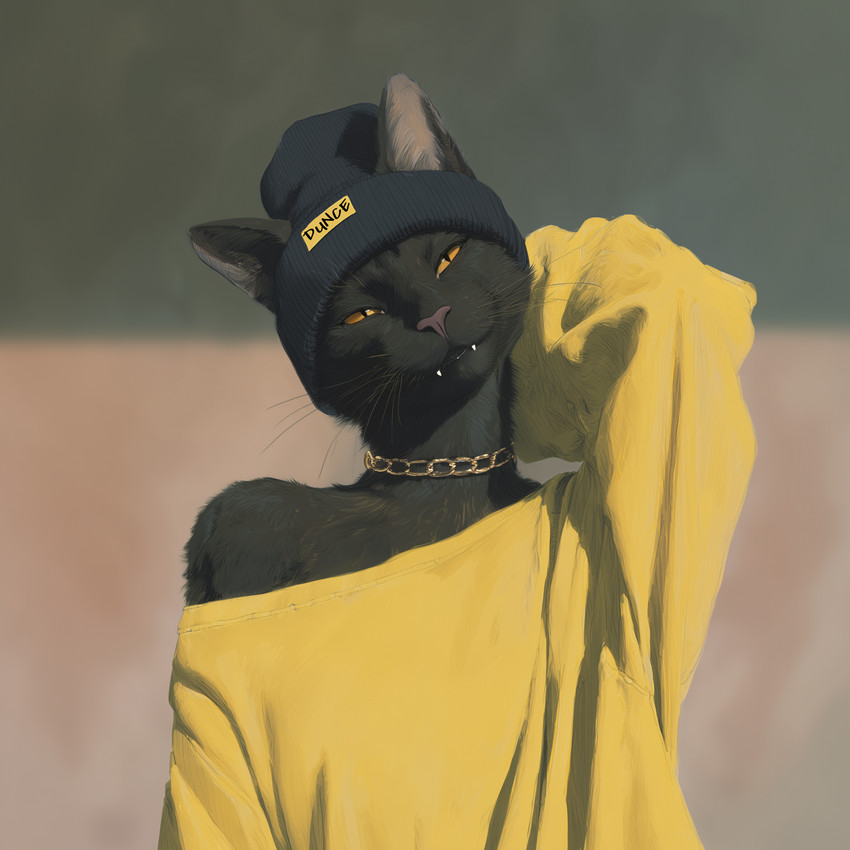 suscat directed by sappy