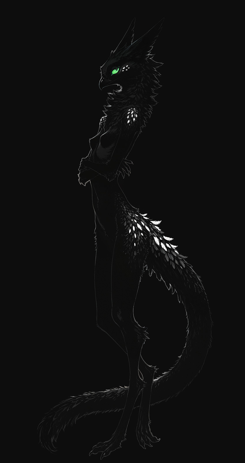 shadow directed by oldhroft