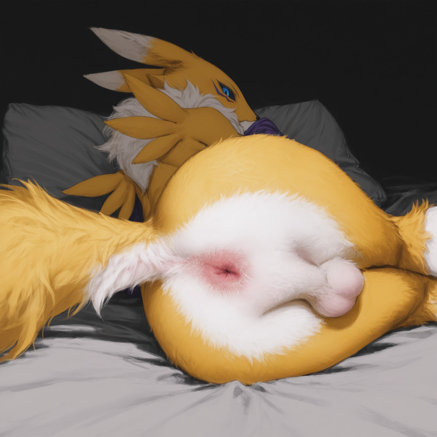 (digimon) directed by sysns