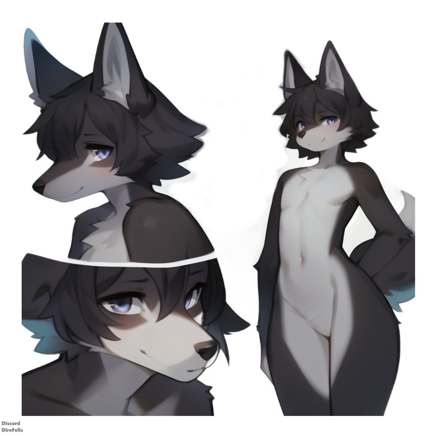 2023 anthro black_body black_fur black_hair blue_eyes fur hair hips inner_ear_fluff looking_at_viewer male multicolored_body multicolored_fur multiple_angles neck_tuft small_waist smile solo tuft white_body white_fur direfelis_(director) canid canine canis mammal absurd_res hi_res portrait