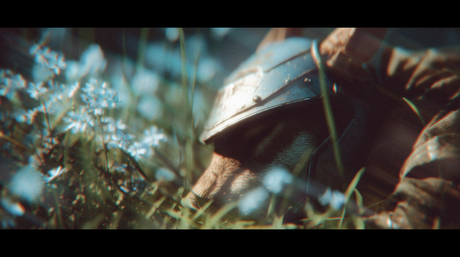 anthro armor black_bars brown_body brown_fur cinematic cinematic_lighting clothing eyes_closed fantasy flower fur grass headgear helmet lens_flare letterbox lying male on_front plant solo tired youssefalsuccjeeda canid canine mammal hi_res wallpaper