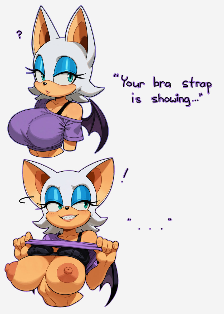 rouge the bat (sonic the hedgehog (series) and etc) directed by unknown director