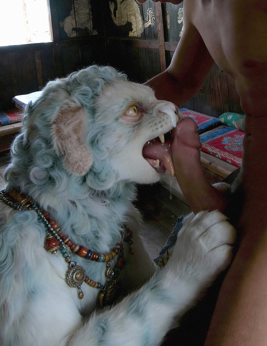 directed by sloppycat