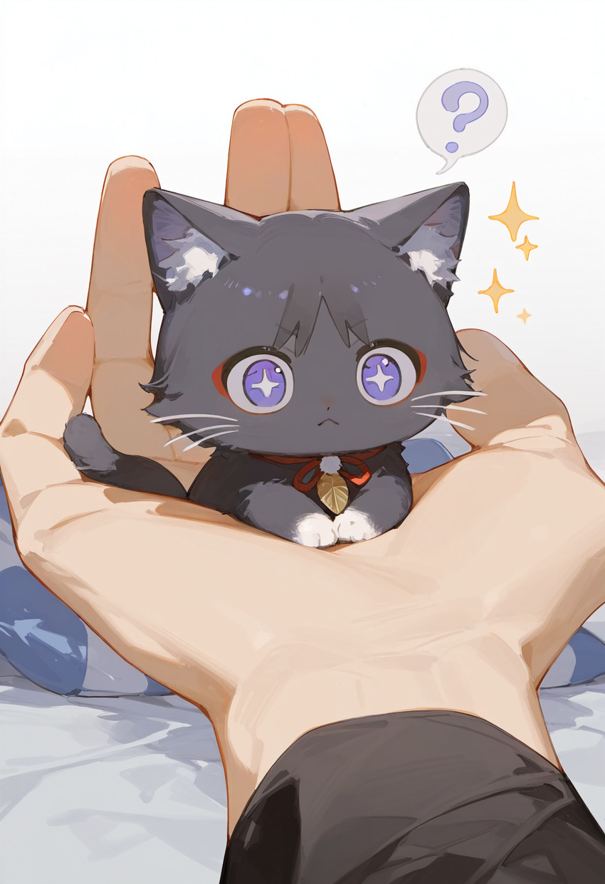 looking_at_viewer lying pov_hands purple_eyes simple_background sparkles speech_bubble tail whiskers ztaiai3 genshin_impact scaramouche_(genshin_impact) domestic_cat felid feline felis mammal absurd_res hi_res