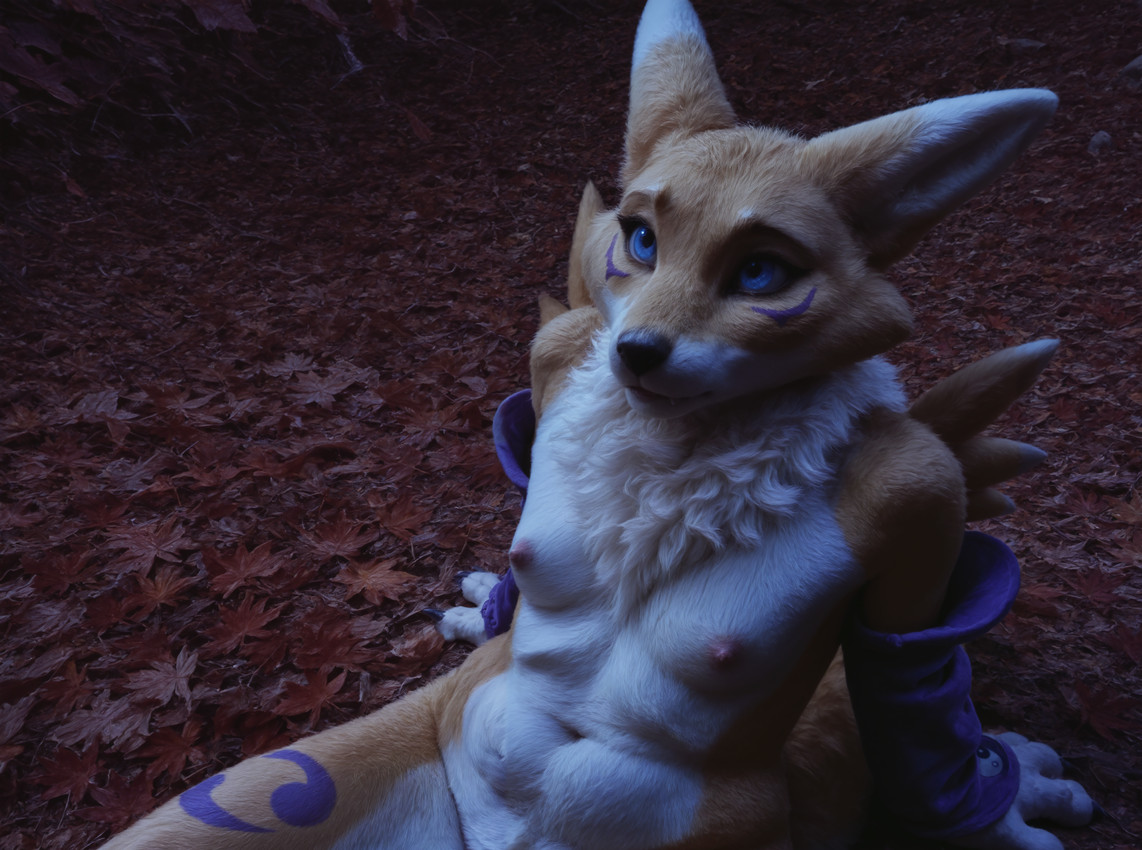 (digimon) directed by frrlvr