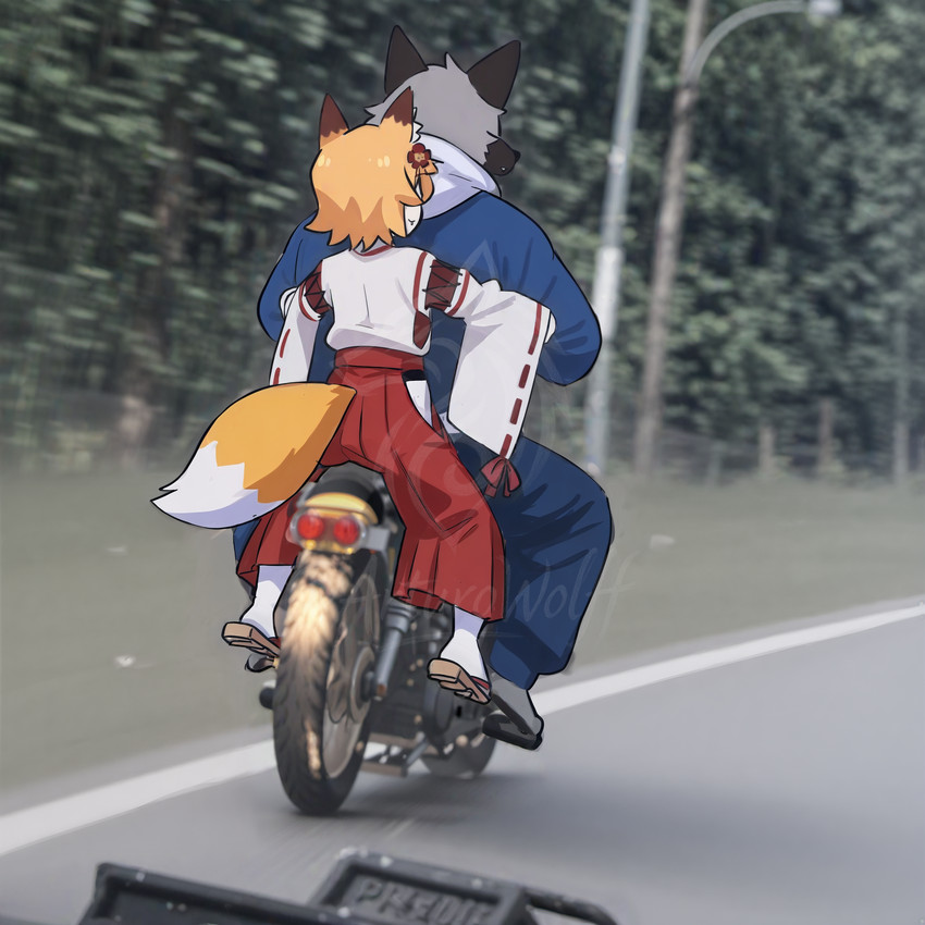 accessory animal_ears anthro black_body black_fur blurred_background butt clothed clothing countershading duo embrace female fur grey_body grey_fur hair hair_accessory hug hugging_from_behind inner_ear_fluff male male/female rear_view reverse_countershading riding_motorcycle tail tuft arturowolff_(director) sewayaki_kitsune_no_senko-san arturowolff senko-san animal_humanoid canid canid_humanoid canine canine_humanoid canis fox fox_humanoid humanoid mammal mammal_humanoid wolf edit hi_res meme photo_manipulation watermark