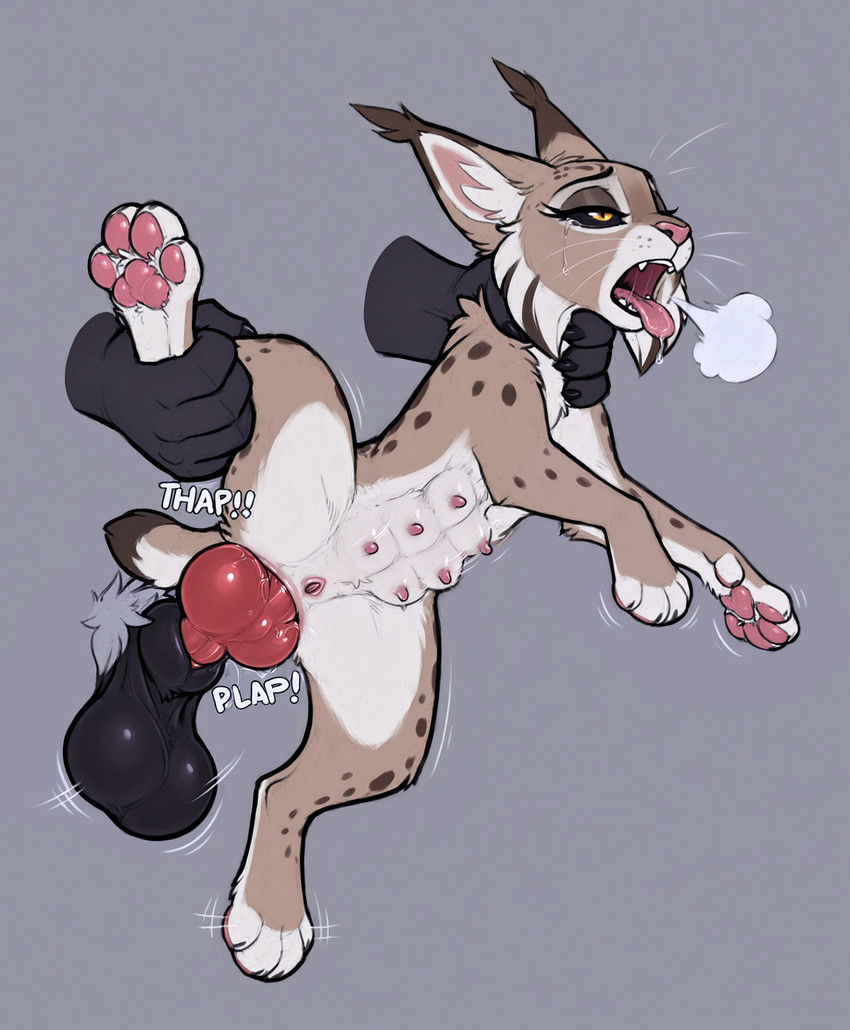 anal anal_penetration animal_genitalia animal_penis animal_pussy anthro anthro_on_feral anthro_penetrating anthro_penetrating_feral anus balls bestiality black_claws black_sclera bodily_fluids bouncing_balls bouncing_teats canine_genitalia canine_penis cheek_tuft claws disembodied_hand disembodied_penis drooling duo ear_tuft facial_tuft fangs feline_pussy female feral feral_penetrated fucked_silly fur genitals golden_eyes grey_background half-closed_eyes knot larger_male leg_grab lynx_tail male male/female midair motion_lines motion_outlines multi_nipple narrowed_eyes neck_grab nipples open_mouth pawpads penetration penis pink_nipples pink_pawpads pussy rough_sex saliva saliva_string sex short_tail simple_background size_difference smaller_female spots spotted_body spotted_fur stretched_anus suspended_in_midair tears teats teeth tongue tongue_out tuft whiskers nightdancer nightdancer_(character) zaire canid canine canis felid feline lynx mammal wolf absurd_res hi_res