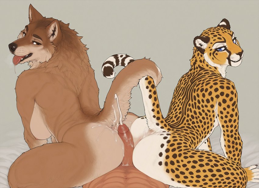 abs anthro ass_to_ass athletic athletic_female back_muscles big_breasts big_butt bisexual black_nose blue_eyes bodily_fluids breast_size_difference breasts brown_body brown_fur butt collaborative collaborative_hot_dogging collaborative_sex countershading cum cum_on_butt cum_on_penis cumshot drooling ejaculation entwined_tails erection fangs female female_on_human female_on_top ffm first_person_view fur genital_fluids genitals grin group group_sex hot_dogging human_on_anthro human_pov humanoid_genitalia humanoid_penis inner_ear_fluff interspecies looking_at_viewer looking_back looking_back_at_viewer looking_pleasured lying male male/female male_on_anthro male_pov markings multicolored_body multicolored_fur muscular muscular_male narrowed_eyes nude nude_female on_back on_top open_mouth orgasm penis presenting presenting_hindquarters raised_tail saliva saliva_string seductive sex side_boob simple_background smile spots spotted_body spotted_fur tail tail_coil tan_body tan_fur teeth threesome tongue tongue_out trio tuft two_subs_one_dom white_body white_fur yellow_body yellow_fur otteranon canid canine canis cheetah felid feline human mammal wolf hi_res