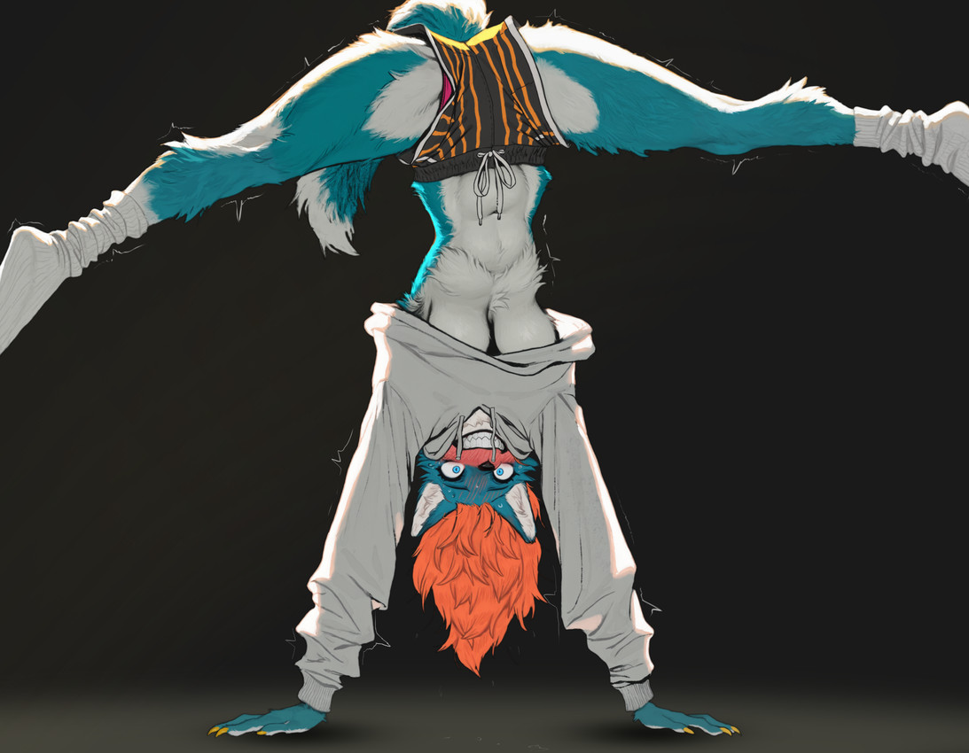 5_fingers anthro athletic athletic_wear black_background blue_body blue_eyes blue_fur blush bodily_fluids bottomwear breasts claws clenched_teeth clothed clothing colored_nails female fingers fluffy fluffy_tail footwear fur gym_bottomwear gym_clothing gym_shorts hair handstand hanging_breasts hoodie legwear looking_at_viewer multicolored_body multicolored_fur nails navel orange_hair panties pink_clothing pink_panties pink_underwear shaking shirt shorts simple_background smile socks solo spread_legs spreading sweat tail teeth topwear tuft under_boob underwear upside_down white_body white_fur yellow_claws soloko kara canid canine canis mammal wolf digital_media_(artwork) hi_res