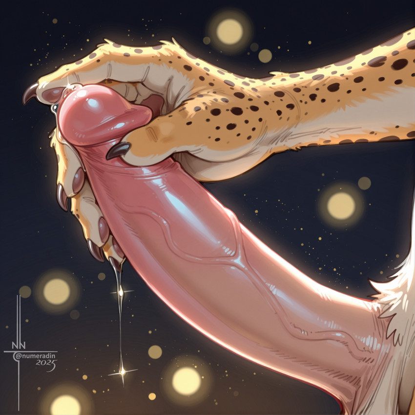 directed by numeradin