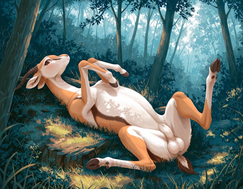 anatomically_correct anatomically_correct_genitalia animal_genitalia balls blush feral forest forest_background fully_sheathed genitals happy hooves lying male nature nature_background nude on_back outside plant presenting sheath solo spread_legs spreading tree witecek_(director) antelope bovid gazelle mammal thomson's_gazelle true_antelope hi_res