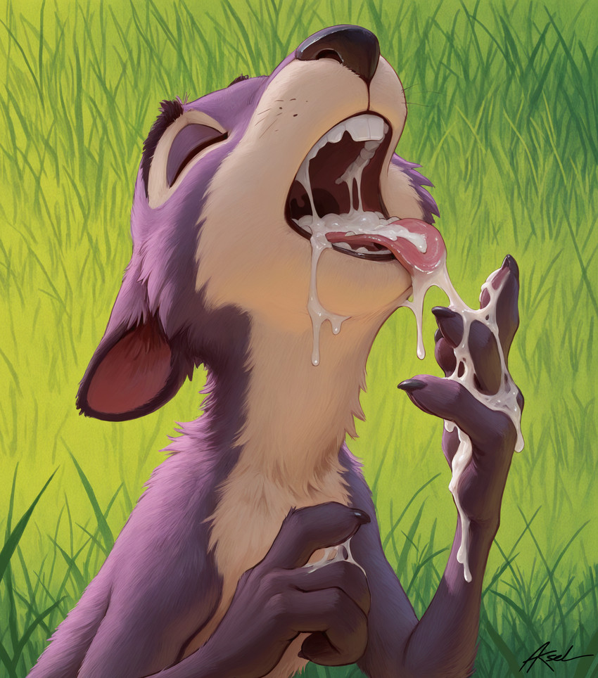 surly (the nut job) directed by aksel