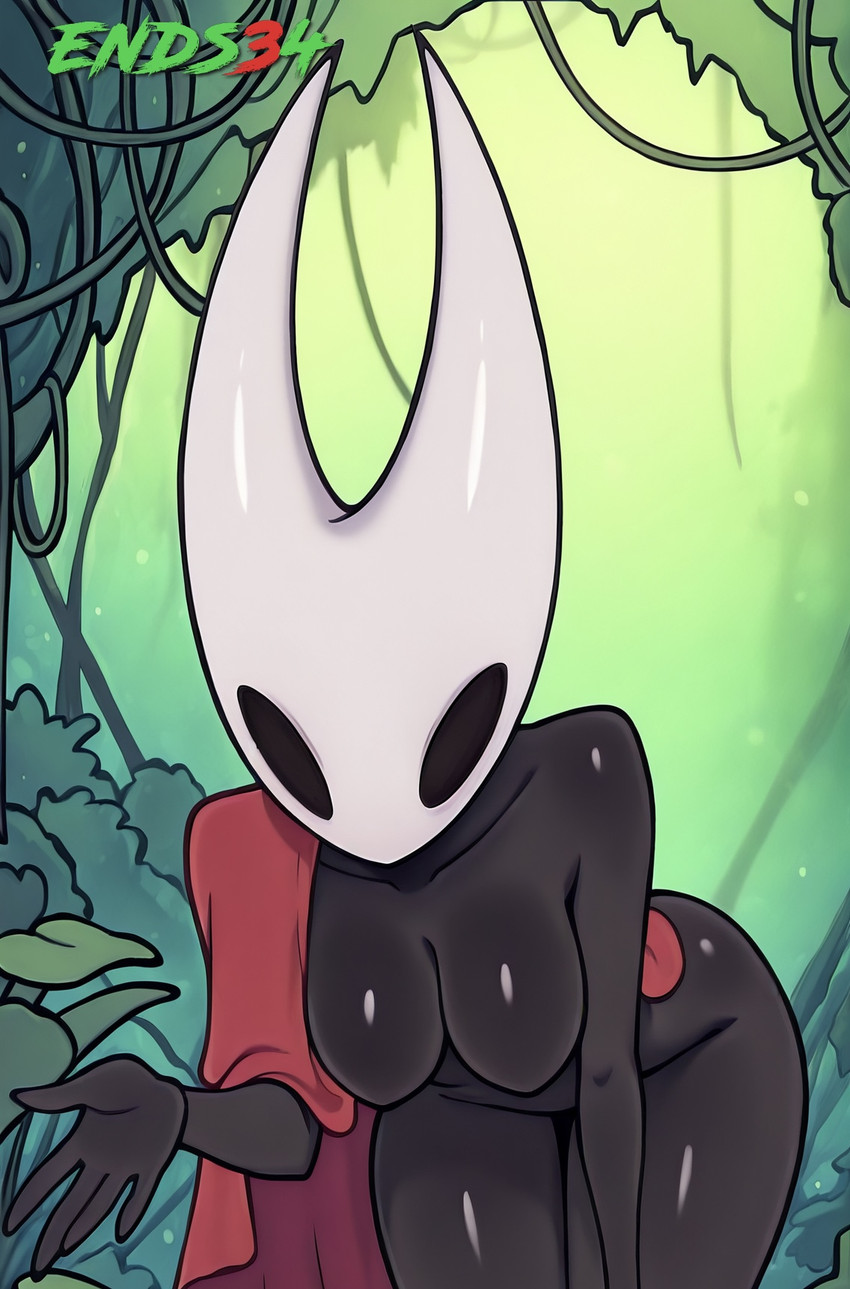 hornet (hollow knight (franchise) and etc) directed by ends34