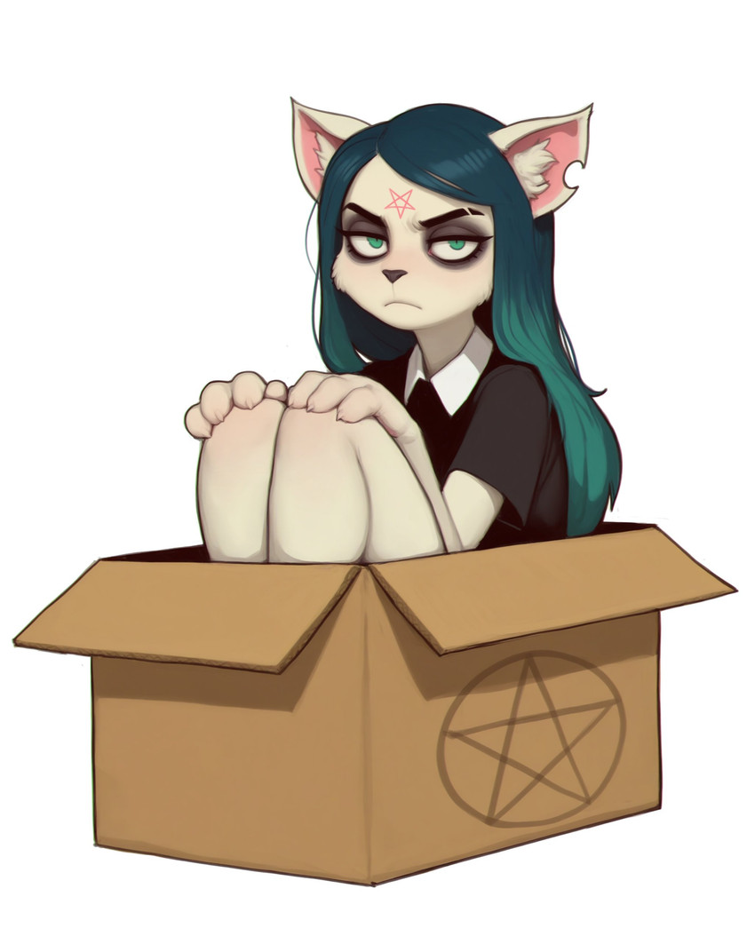 anthro black_clothing blue_eyes clothing female frown inner_ear_fluff looking_at_viewer occult_symbol pentagram scowl simple_background sitting solo symbol teal_eyes tuft white_background ratfucker_(director) claire_(the_summoning) domestic_cat felid feline felis mammal absurd_res hi_res