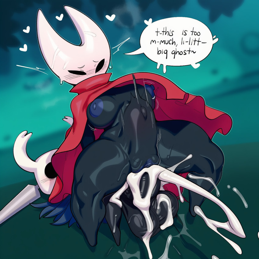 hornet and protagonist (hollow knight and etc) directed by hellsonger