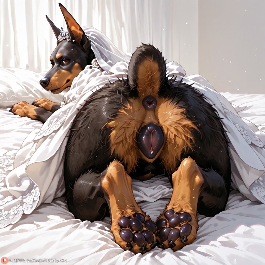 animal_genitalia animal_pussy brown_body canine_genitalia canine_pussy clothing female feral fur genitals hair looking_at_viewer pawpads presenting pussy raised_tail solo solo_focus director_donki canid canine canis dobermann domestic_dog mammal pinscher