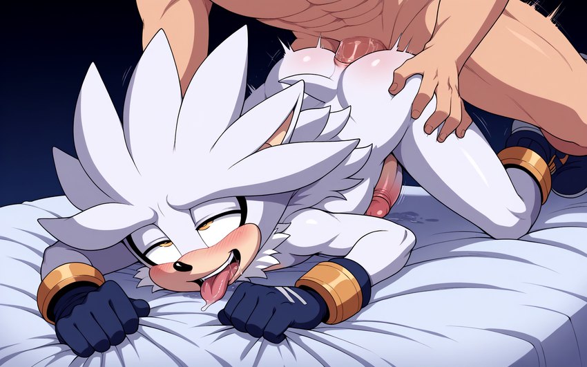 silver the hedgehog directed by onevice