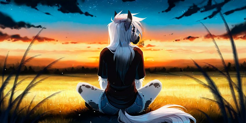 anthro bottomwear clothed clothing cutoffs denim denim_clothing fur hair long_hair long_tail male rear_view shirt shorts sitting solo sunset t-shirt topwear white_body white_fur white_hair ivorymane equid equine horse mammal hi_res