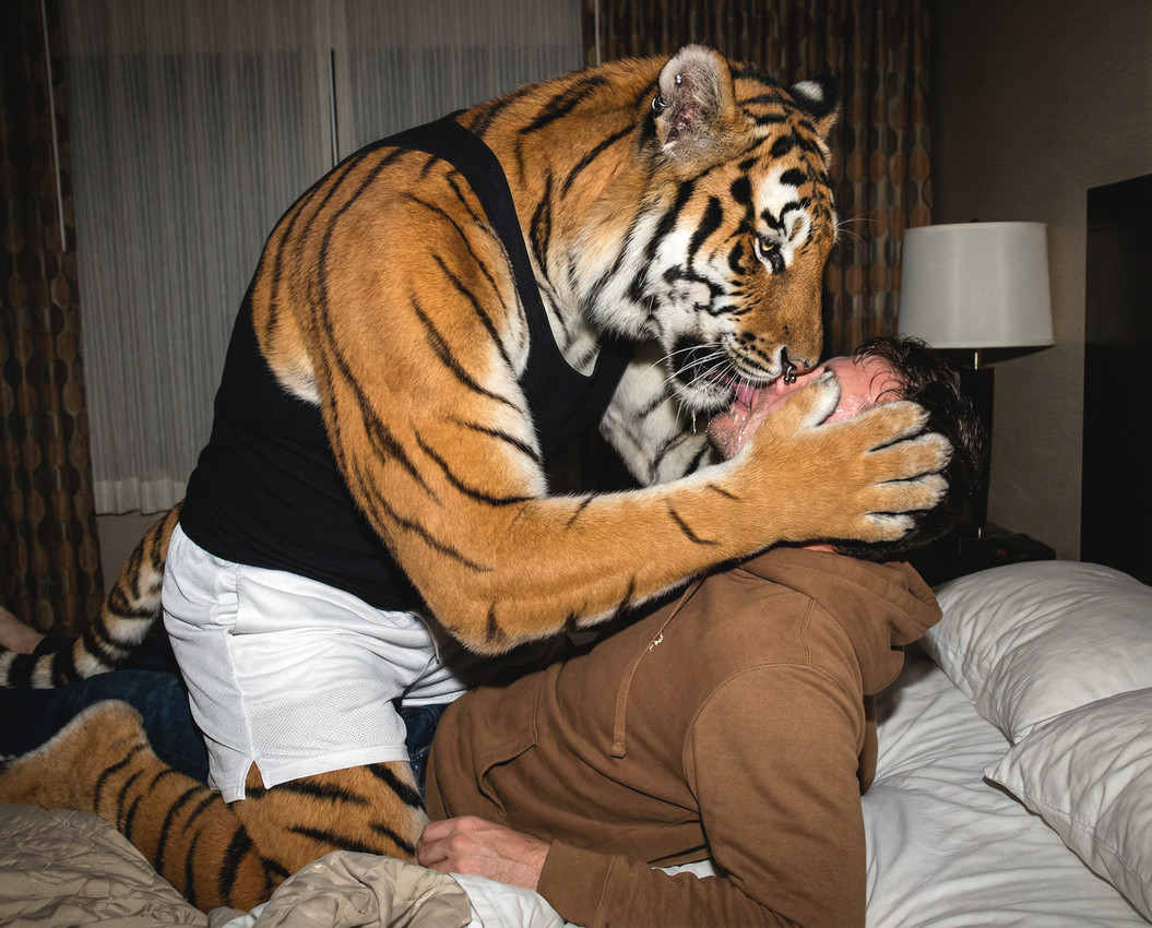 anthro bed bedroom bodily_fluids bottomwear clothed clothing curtains detailed_fur dominant dominant_anthro duo ear_piercing facial_piercing french_kissing fur furniture hand_on_face hoodie hotel_room human_on_anthro inside interspecies kissing kneeling lying_on_back male male/male muscular muscular_anthro muscular_male nose_piercing obscured_eyes obscured_face on_top orange_body orange_fur pants photorealism piercing realistic realistic_fur realistic_lighting saliva saliva_string shirt shorts size_difference straddling striped_body striped_fur stripes tail tank_top tongue tongue_out topwear delken felid human mammal pantherine tiger detailed hi_res