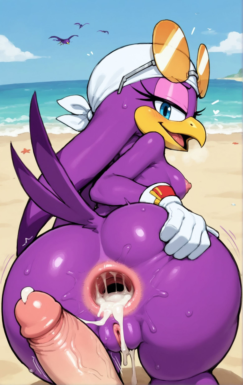 wave the swallow (sonic the hedgehog (series) and etc) directed by anonymous director