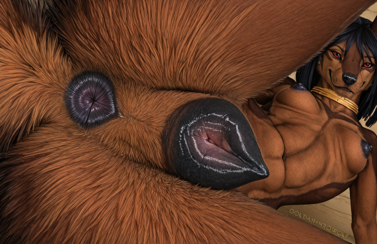 animal_genitalia animal_pussy anthro anus black_anus black_nipples black_pussy brown_body brown_fur canine_genitalia canine_pussy female fur genitals nipples pussy red_eyes smile smiling_at_viewer solo spread_eagle goldanthrowolf kesis_(fluff-kevlar) canid canine canis jackal mammal hi_res