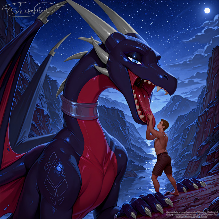 cynder (spyro the dragon and etc) directed by sheishfed