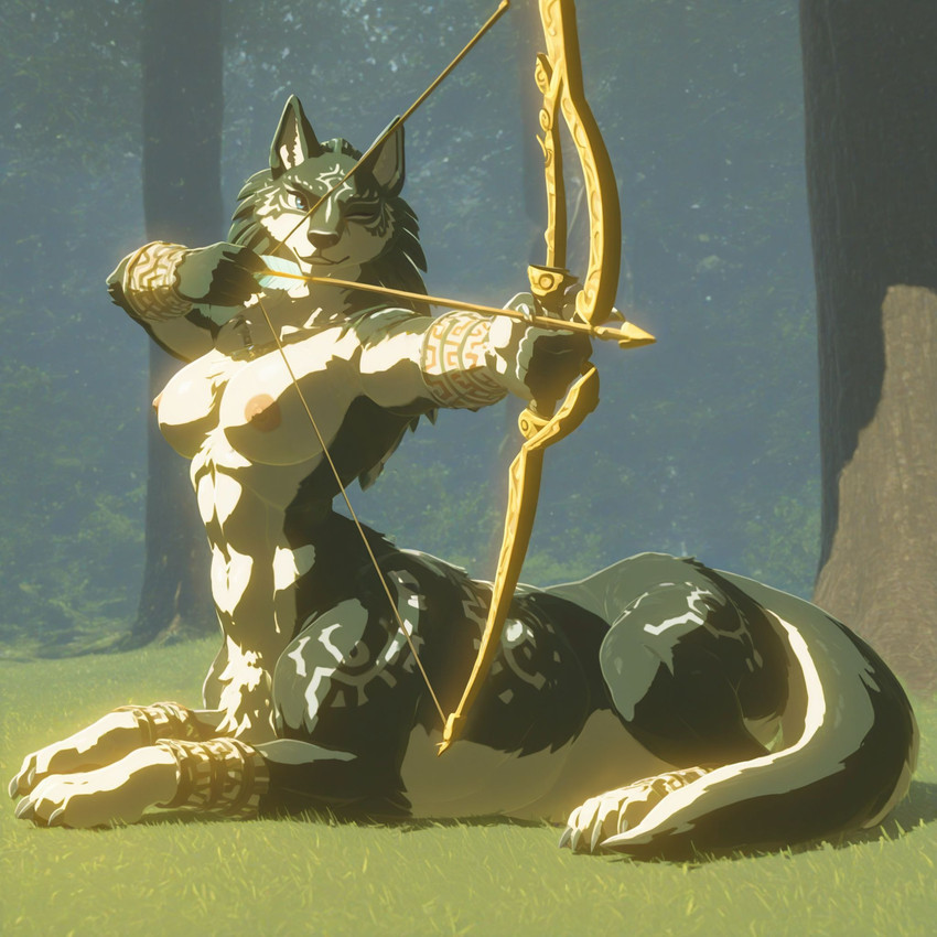 link (breath of the wild) directed by jm222