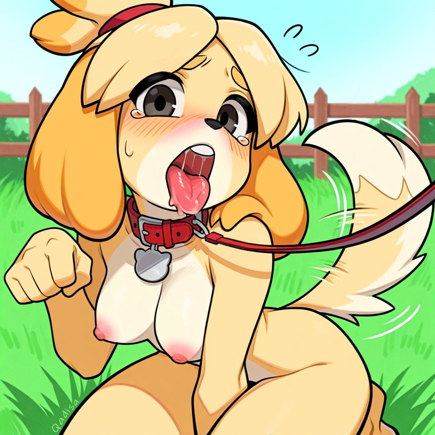 isabelle (animal crossing and etc) directed by qadisa