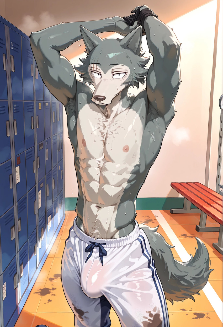 legoshi (beastars) directed by xenonlight