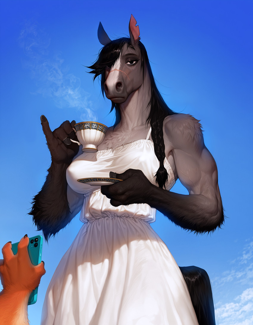 (invoke high) directed by anonymous director