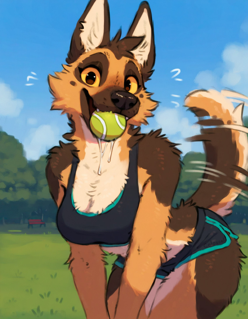 anthro arm_tuft ball bench bent_over black_nose bodily_fluids bottomwear bra breasts brown_body brown_fur cheek_tuft cleavage clothed clothing cloud detailed_background drooling ear_piercing facial_tuft fangs female fluffy fur grass gym_bottomwear gym_clothing gym_shorts happy hotpants inner_ear_fluff leaning leaning_forward looking_at_viewer mouth_hold multicolored_body multicolored_fur open_mouth outside park piercing plant saliva saliva_string shirt shorts shoulder_tuft sky smile solo sports_bra tail tail_motion tailwag tan_body tan_fur tank_top teeth tennis_ball tongue topwear tree tuft underwear white_body white_fur yellow_eyes yellow_sclera colossal_exhoost_fume canid canine canis domestic_dog german_shepherd herding_dog mammal pastoral_dog hi_res