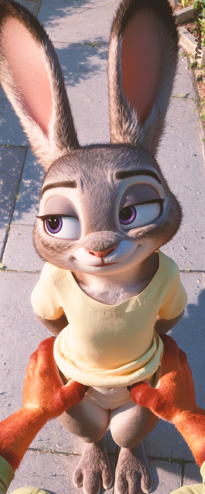 judy hopps and nick wilde (zootopia and etc) directed by tricksterfox