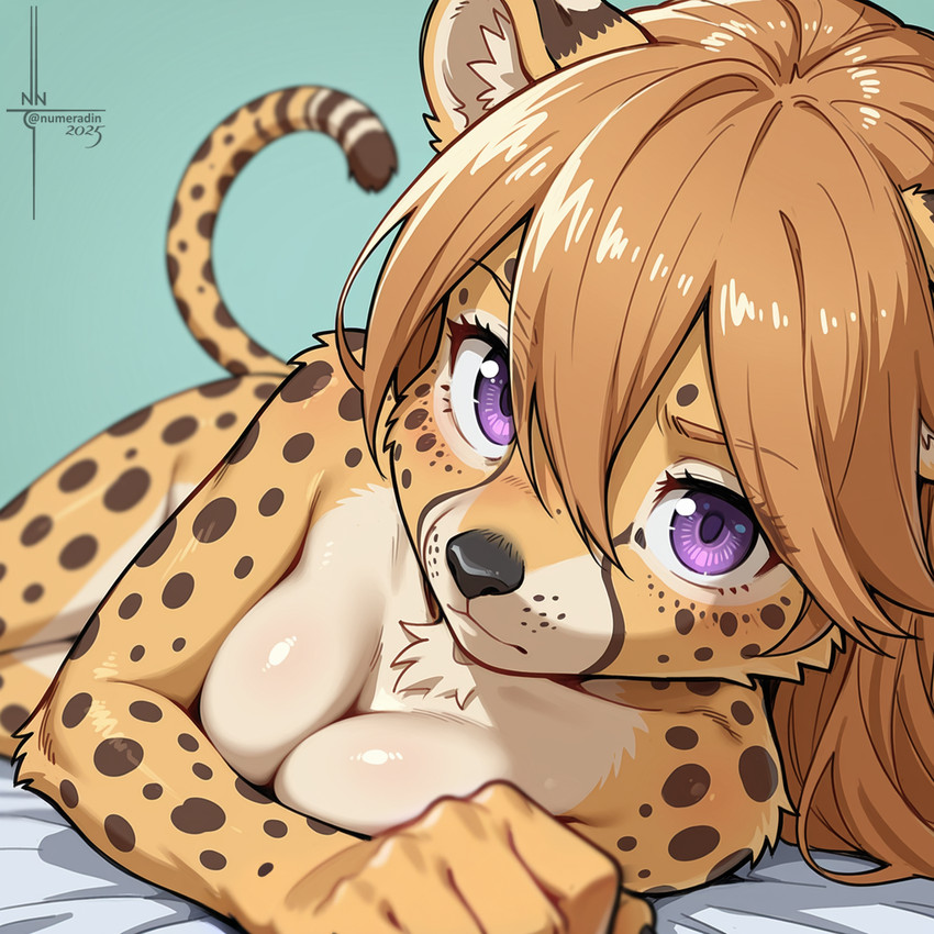 directed by numeradin