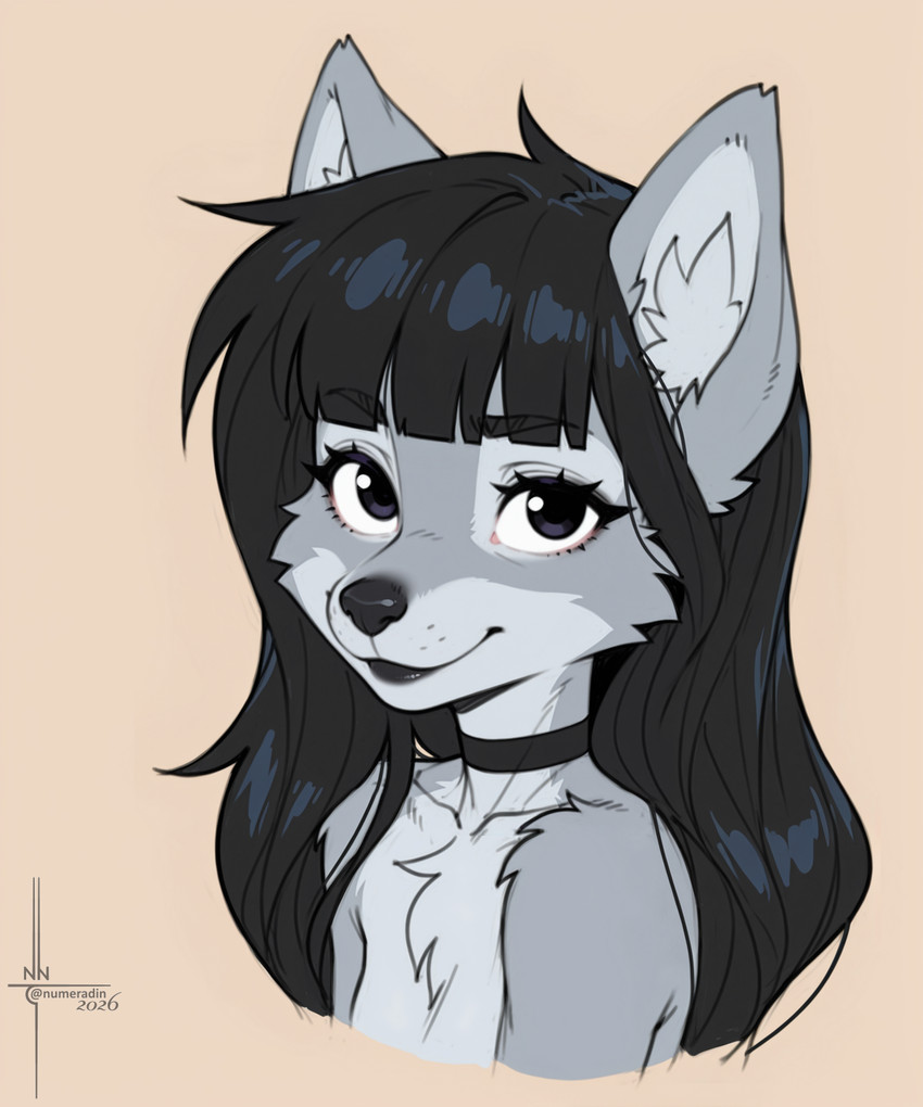 directed by numeradin