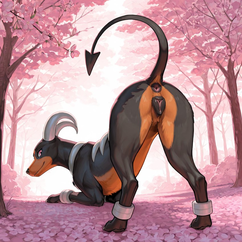 animal_genitalia animal_pussy anus ass_up black_body black_fur brown_body brown_fur butt canine_genitalia canine_pussy cherry_blossom cherry_blossom_tree cherry_tree claws detailed_background female feral fruit_tree fur genitals horn looking_at_viewer looking_back looking_back_at_viewer outside paws plant presenting presenting_hindquarters pussy raised_tail seductive solo toe_claws tree firewolf890 nintendo pokemon canid canine generation_2_pokemon houndoom mammal pokemon_(species) hi_res