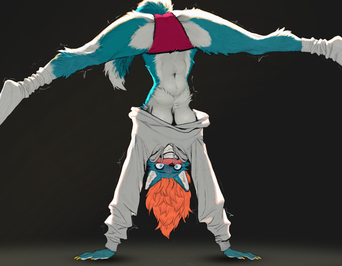 5_fingers anthro athletic blue_body blue_eyes blue_fur blush bodily_fluids breasts butt camel_toe claws clenched_teeth clothed clothing colored_nails dipstick_tail embarrassed female fingers flexible fluffy footwear frilly frilly_clothing frilly_panties frilly_underwear fur hair handstand hanging_breasts hoodie legwear looking_at_viewer markings messy_hair multicolored_body multicolored_fur nails navel orange_hair panties pink_clothing pink_panties pink_underwear shaking simple_background smile socks solo spread_legs spreading sweater tail tail_markings teeth topwear tuft two_tone_body two_tone_fur under_boob underwear upside_down white_body white_clothing white_fur yellow_claws soloko kara canid canine canis mammal wolf digital_media_(artwork) hi_res