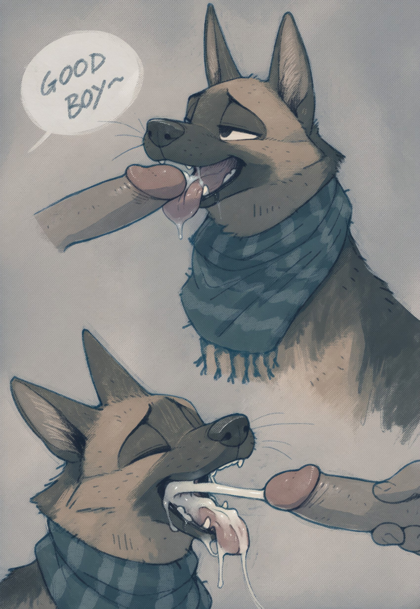 directed by heccoverflow