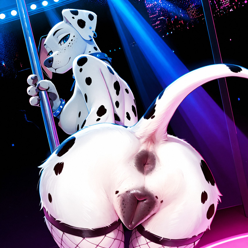 directed by pleasedontlook